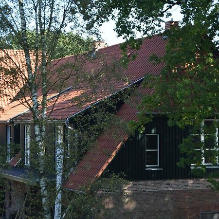 Hotel Ferien Hohes Elbufer à Schnakenbek Extérieur photo